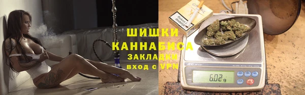 гидропоника Гусь-Хрустальный