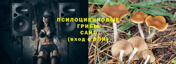 ешки Гусиноозёрск