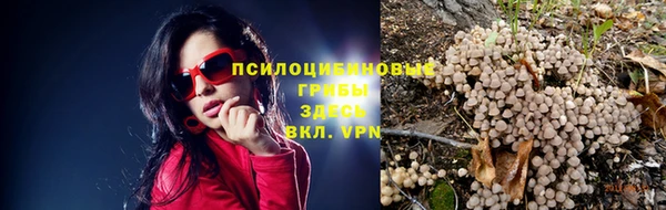 не бодяженный Лабытнанги