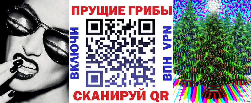 Псилоцибиновые грибы MAGIC MUSHROOMS  продажа наркотиков  Оха 
